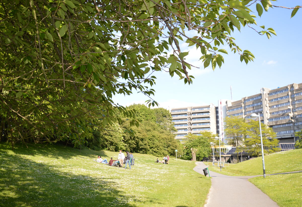Campus Oefenplein - ULB-VUB